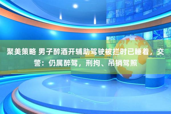 聚美策略 男子醉酒开辅助驾驶被拦时已睡着，交警：仍属醉驾，刑拘、吊销驾照