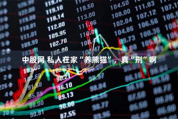 中股网 私人在家“养熊猫”，真“刑”啊
