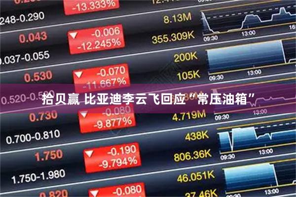 拾贝赢 比亚迪李云飞回应“常压油箱”