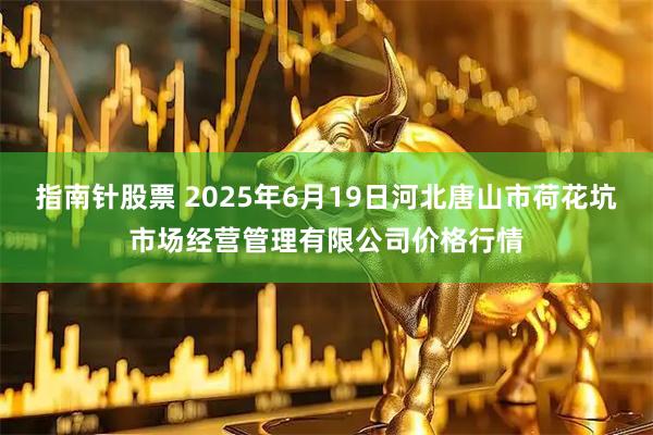 指南针股票 2025年6月19日河北唐山市荷花坑市场经营管理有限公司价格行情