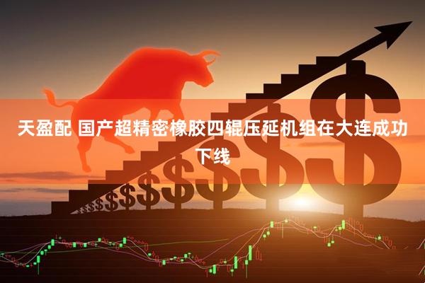 天盈配 国产超精密橡胶四辊压延机组在大连成功下线