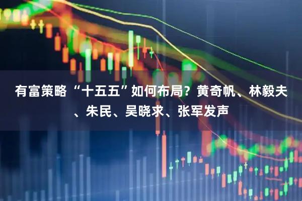 有富策略 “十五五”如何布局?黄奇帆、林毅夫、朱民、吴晓求、张军发声