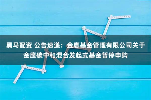 黑马配资 公告速递：金鹰基金管理有限公司关于金鹰碳中和混合发起式基金暂停申购